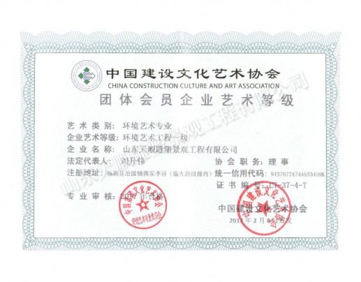 環(huán)境藝術(shù)企業(yè)藝術(shù)等級(jí)證書(shū)